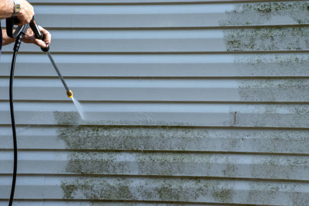 Best Fiber Cement Siding Installation  in Jonesboro, LA